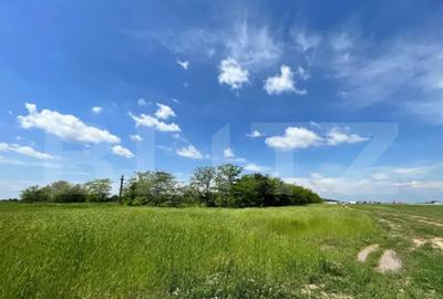 Teren de 4444 mp, în Central - 3