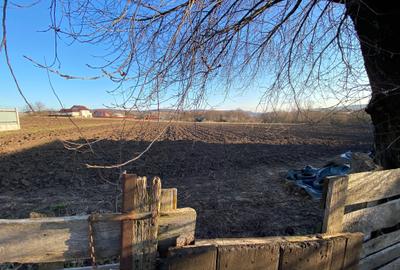 Spațiu comercial, în Șerbăuți - 6