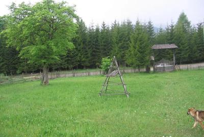 Teren de 4080 mp, în Valea Doftanei - 9