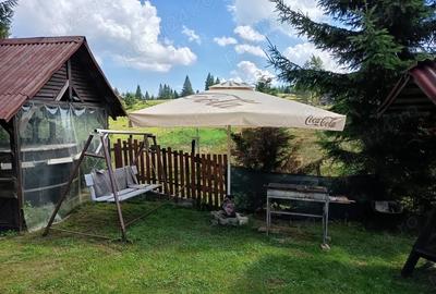 Spațiu comercial, de 400 mp, în Beliș - 5