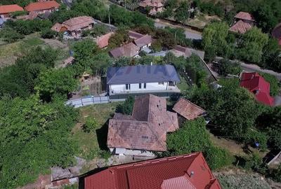 Casa cu gradina de vanzare in Copaceni - 6
