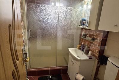 Apartament cu 3 camere în Dâmbu Pietros - 13
