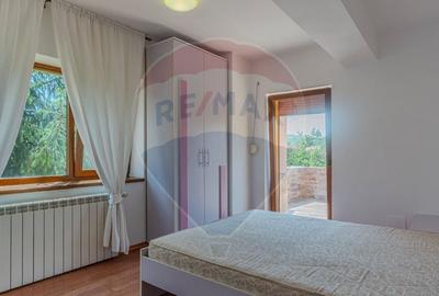 Casa CU POVESTE rezidential/ vacanta in Teliu cu 1700 mp teren! - 17