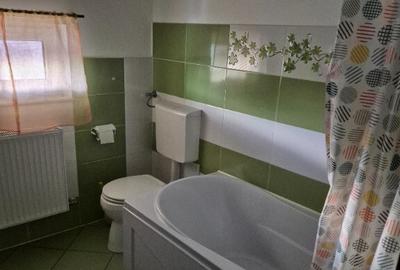 Casa in Sfantu Ilie utilata si mobilata - 11