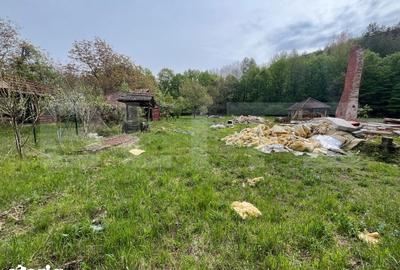 Teren de 4153 mp, în Sânmartin - 13