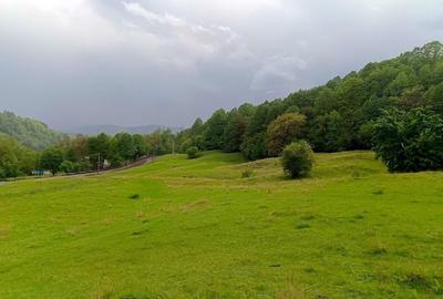 Teren intravilan de 1946 mp, în Nord-Vest - 2