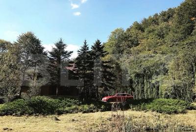 Casa de Vacan?a pe Valea Ighielului 3 camere, 2500 mp - 3