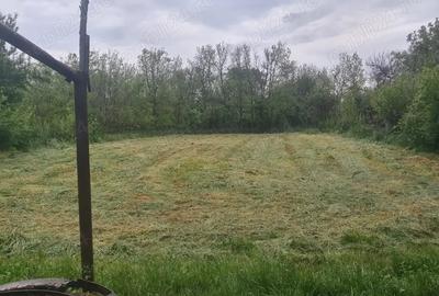 Casă cu 3 camere în Valea Stanciului - 6