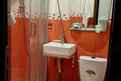 Garsonieră decomandată în Nicolina - 3