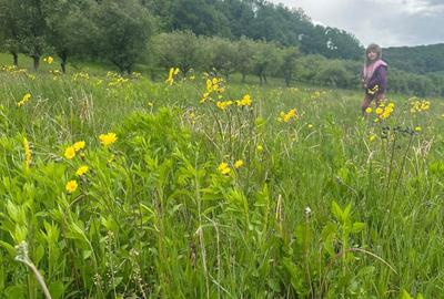 Spațiu comercial, în Herghelia - 4