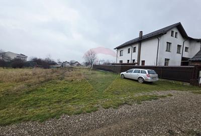 Teren 519mp Dumbrava Rosie / Strada CRANGULUI - 15