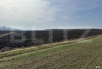 Teren de 15000 mp, în Sântuhalm - 4