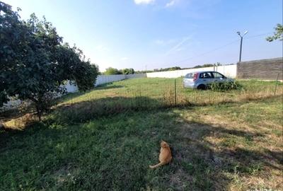 Teren în Bragadiru - 4