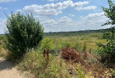 Teren Construcții intravilan de 833 mp, în Nord-Est - 14