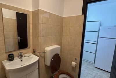 Inchiriere garsoiera MODERNA BD. 1 MAI DR. TABEREI  350 euro - 3