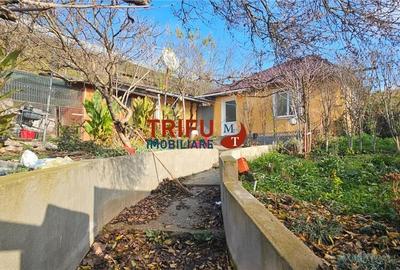 Căsuța din Barabant: O Afacere Mai Bună Decât Un Apartament? - 2