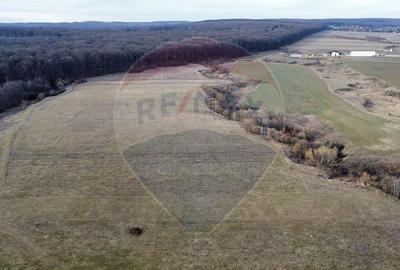 Teren 2925 mp comuna Mitocu Dragomirnei - 2