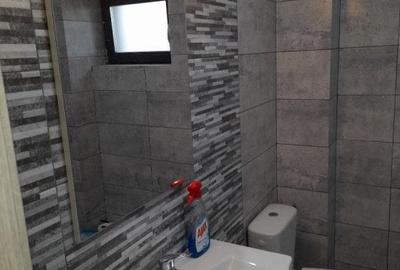 Apartament de inchiriat, mobilat , 1 camera, 42 m2 cu loc de parcare - 10