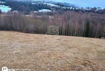 Teren de 8335 mp, în Săcuieu - 4