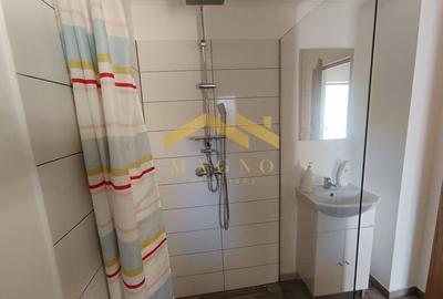 CASA NOU RENOVATA DE VANZARE IN BUJAC - 10