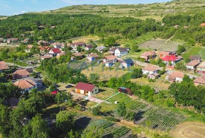 Casa cu teren de 3100 mp de vanzare in comuna Cornesti - 14