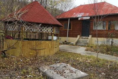 Casa de vanzare Salcia Prahova - 8