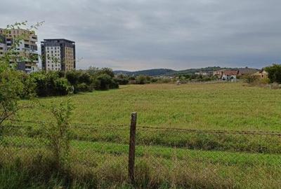 Teren intravilan 8000 mp , DR.D.Vechi - 13