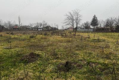 Spațiu comercial, în Alexandriei - 1