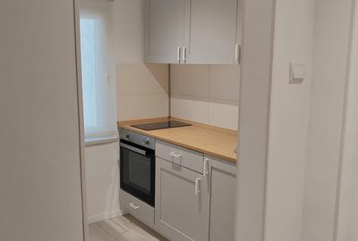 Inchiriere apartament 2 camere Victoriei Felix - 20