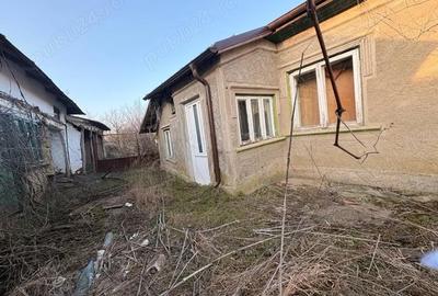 Casă cu Teren 6294 Mp în Cerbu - 1