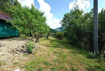 Cabana, anexe si 2000 mp teren intravilan in Taratel, Brad - 12