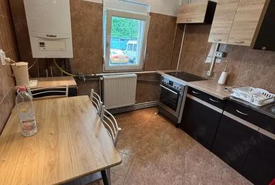 Apartament cu 3 camere decomandat în Lipovei - 11