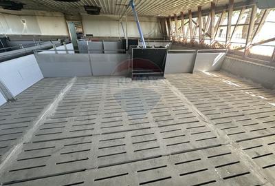 Spațiu industrial, de 5,000 mp, în Tișița - 10