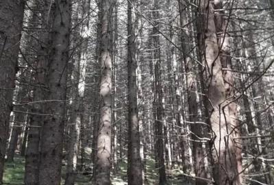 Teren de 2 mp, în Iedu - 10