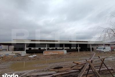 Spațiu comercial, de 6,600 mp, în Valea Lungă - 3