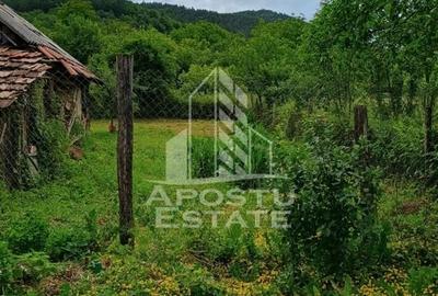 Casa bătrânească de vânzare | 4 camere | Hunedoara | Micănești - 31