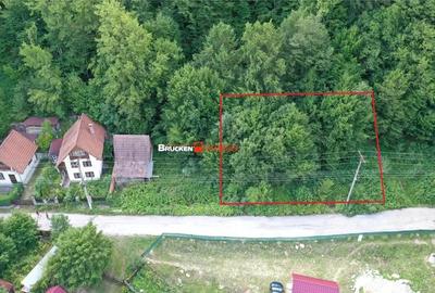 TEREN INTRAVILAN CONSTRUIBIL 400 mp | Statiunea Boga, com. Pietroasa, jud. Bihor - 2