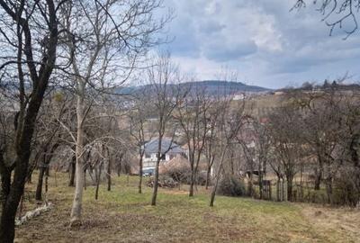 Casă cu 2 camere în Feleacu - 2