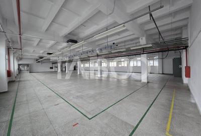 Spatiu industrial 673mpu de inchiriat in Cisnadie - 1