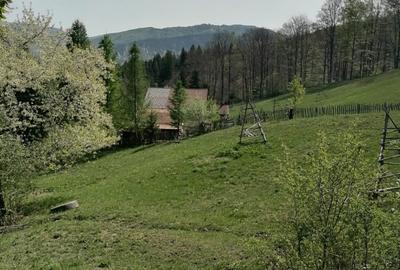 Vanzare teren exceptional, Valea Doftanei, Florei-Secaria, 22000mp, 250 000 euro - 6