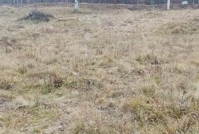 Teren de 10000 mp, în Lepșa - 1
