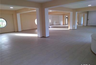 Spațiu comercial, de 450 mp, în Central - 6