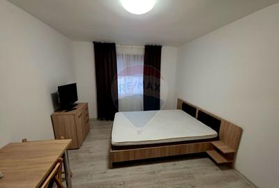 Apartament cu 1 camere de vanzare in zona 1 Mai - 10