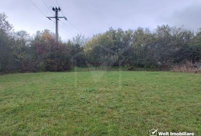 Teren intravilan in Padureni - Chinteni, 3200 mp, intre case - 3