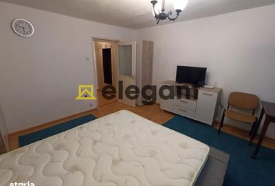 Garsonieră semidecomandată, mobilată în Brazda lui Novac - 3