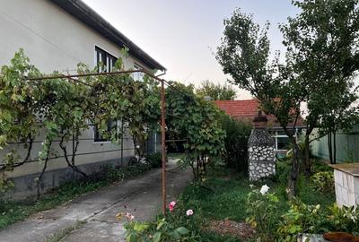 Vilă de vânzare complet mobilată Birchiș - 12