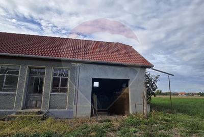 Casă individuală cu 3 camere cu Teren 7290 Mp în Socodor - 22