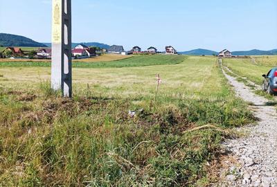 Teren de 811 mp, în Almaș - 5
