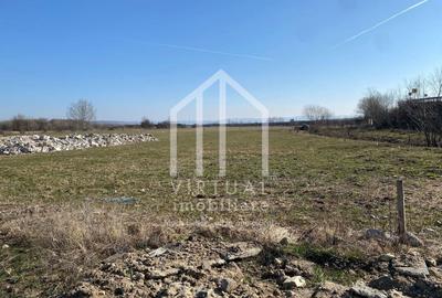 Teren agricol intravilan de 16310 mp, în Rusciori - 6