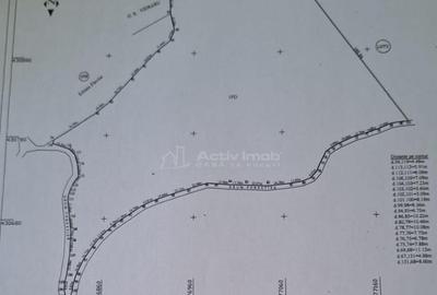 Teren 7 ha, Lac Vidraru, Podis Molivis - 1